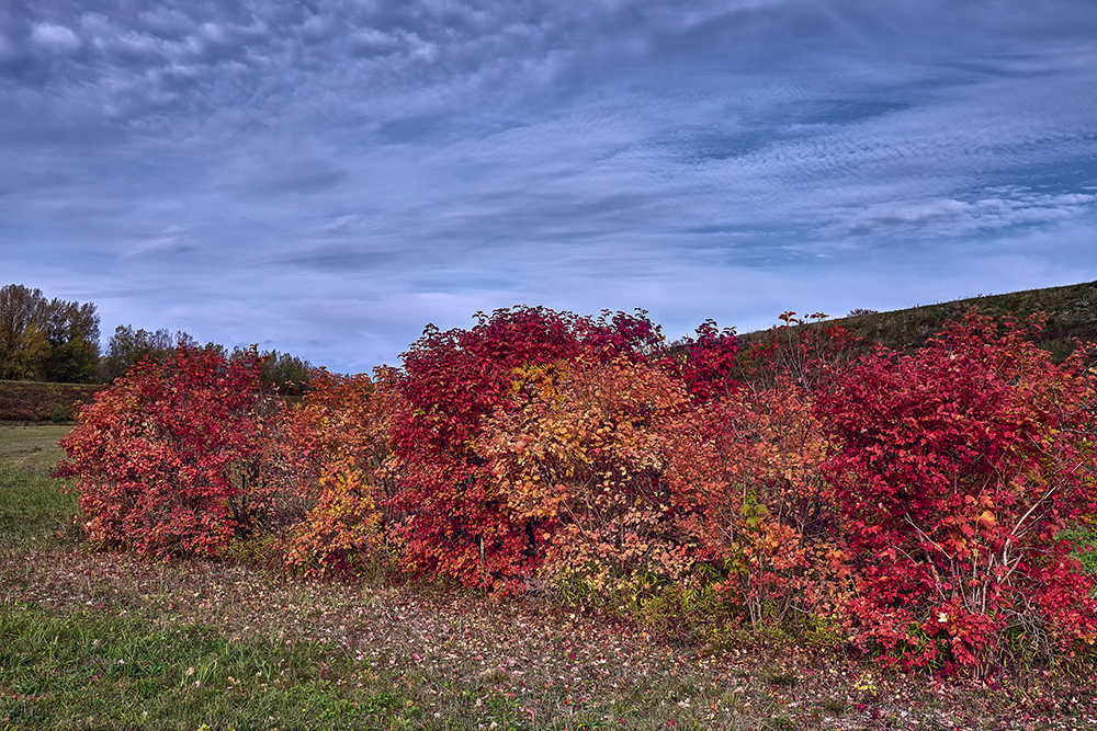 Herbstfarben