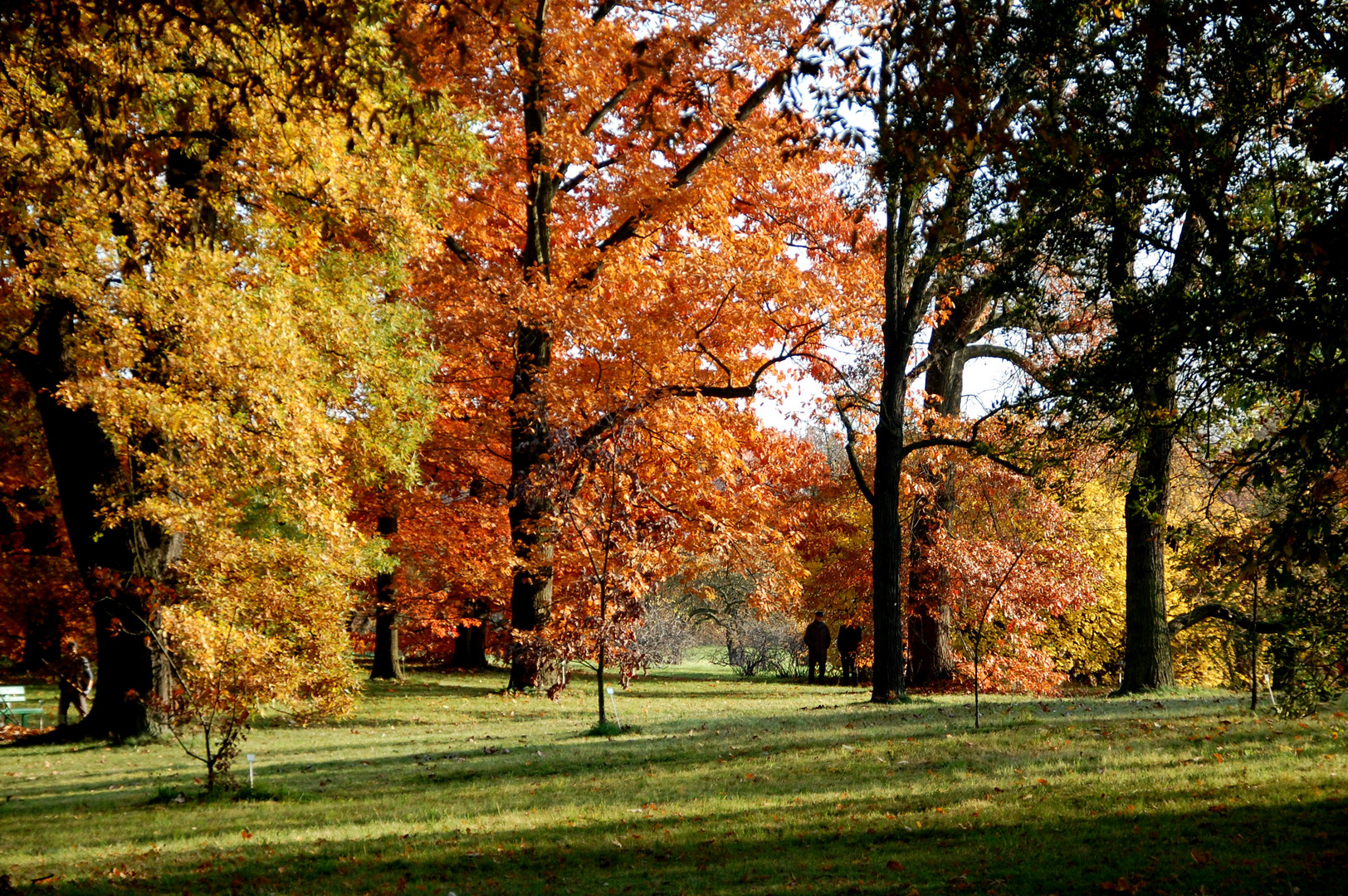 Herbstfarben