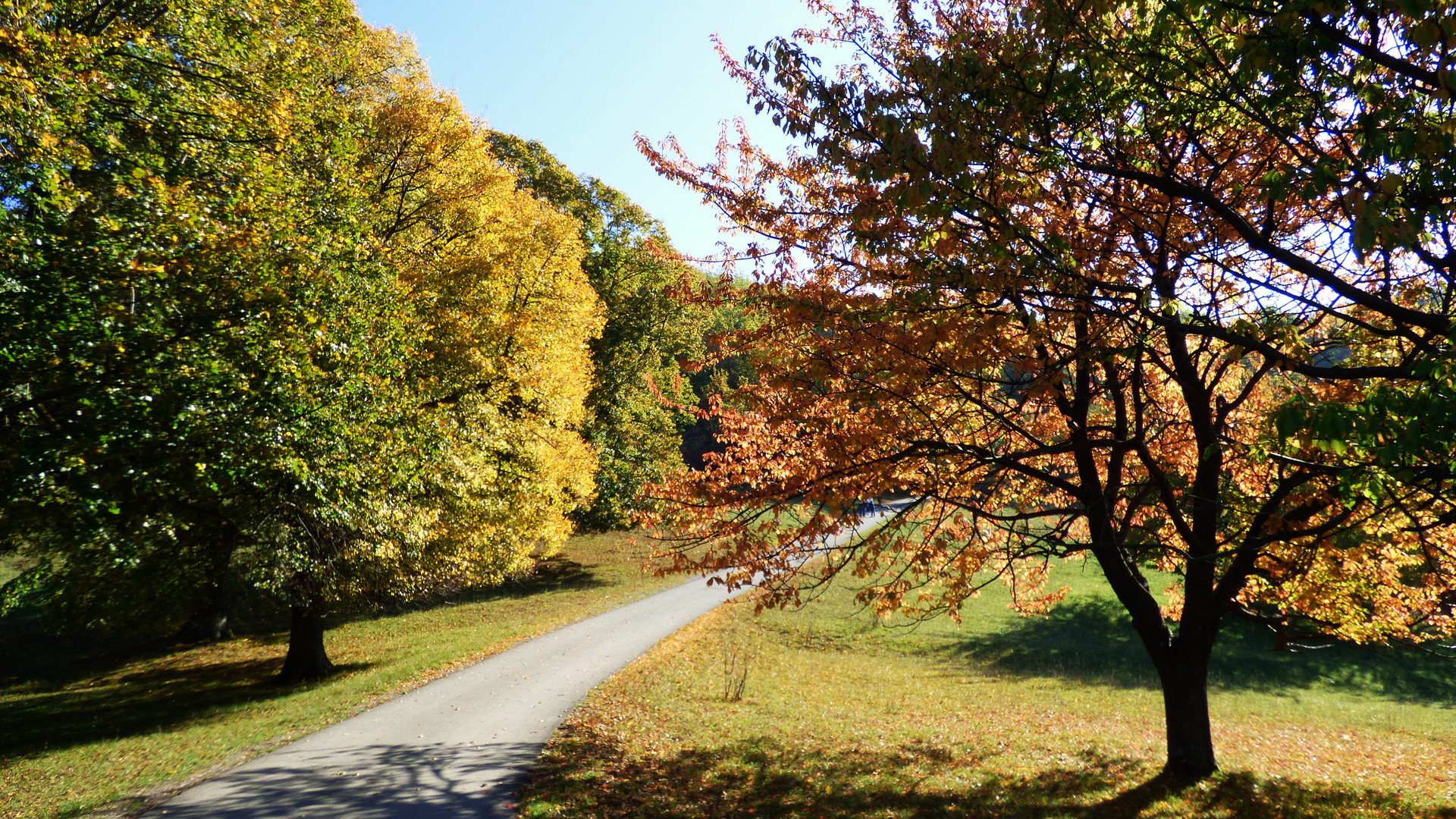 Herbstfarben