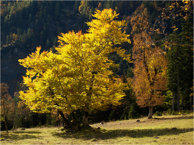 - herbstfarben -