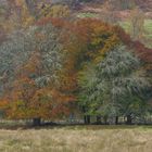 Herbstfarben