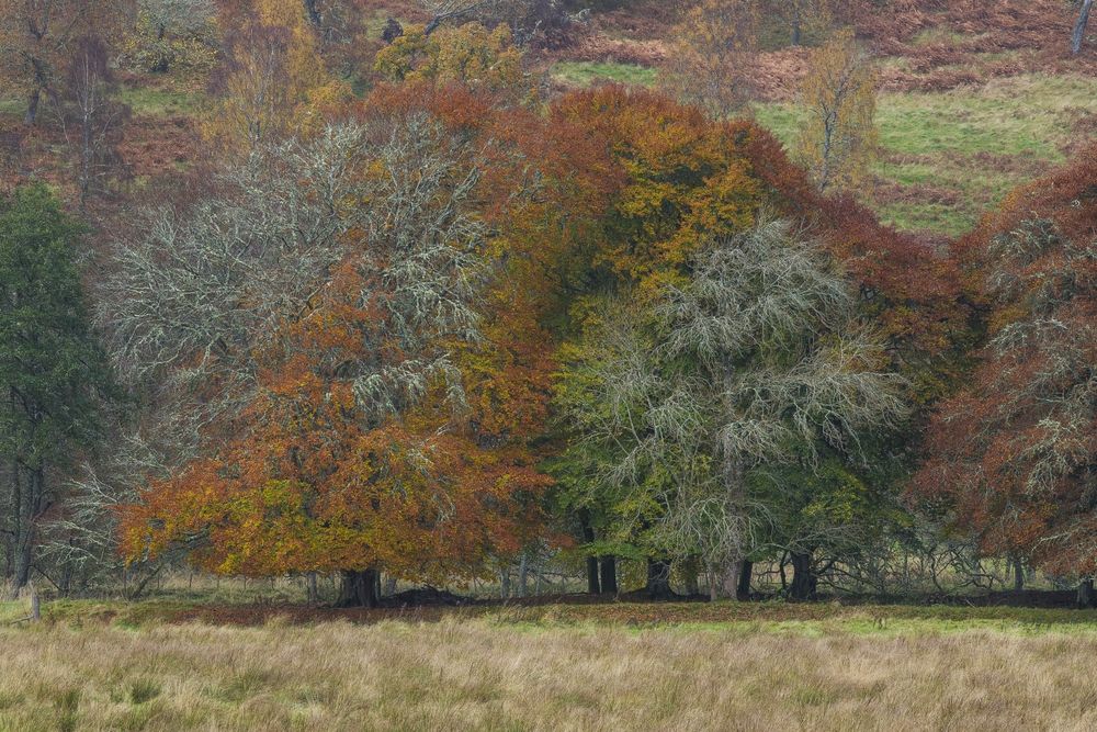 Herbstfarben