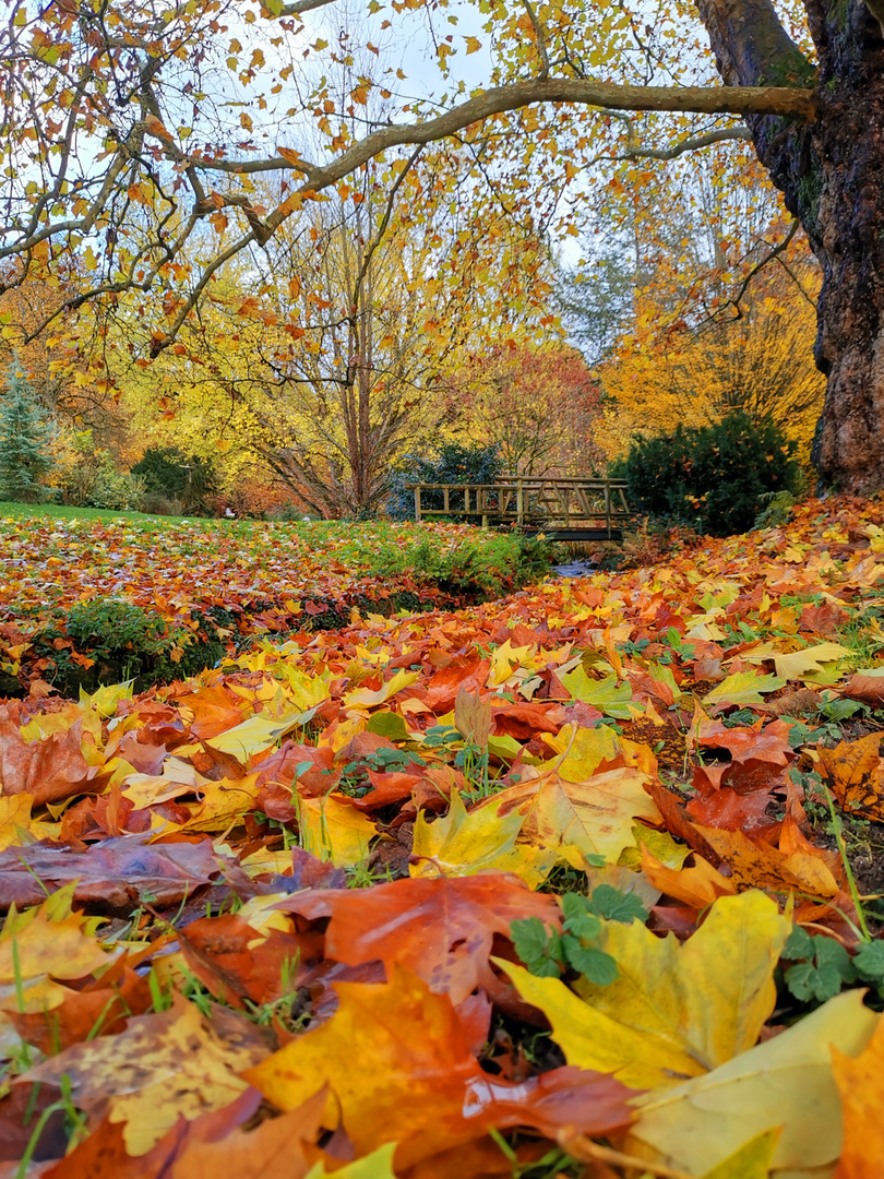 Herbstfarben 