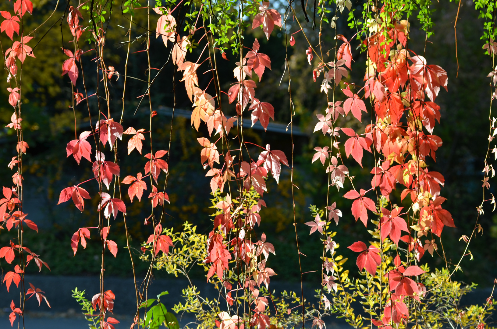 Herbstfarben