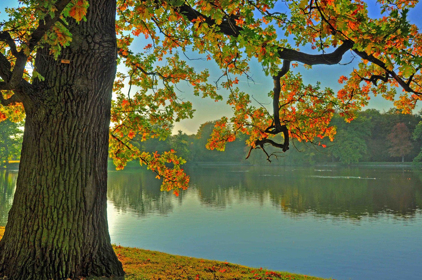 Herbstfarben