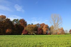 Herbstfarben