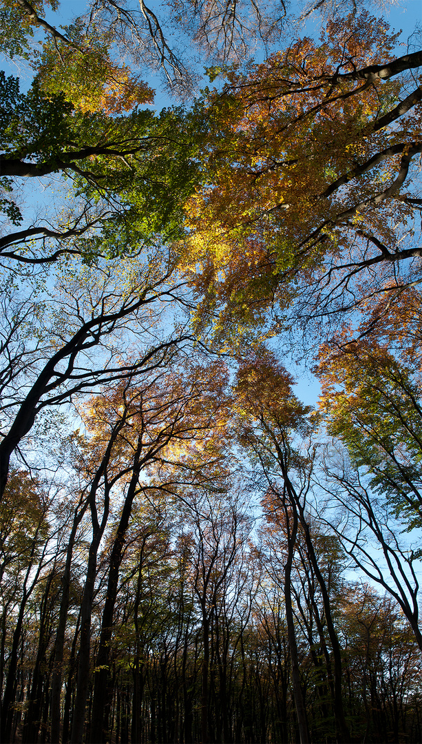 Herbstfarben