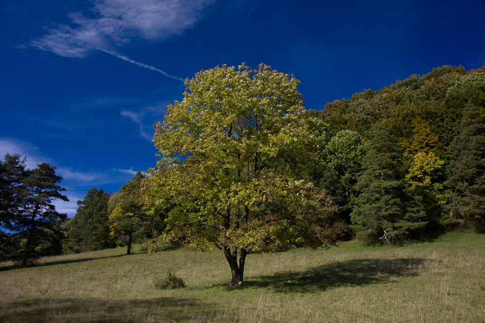 Herbstfarben