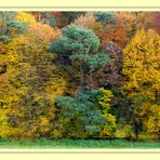 Herbstfarben