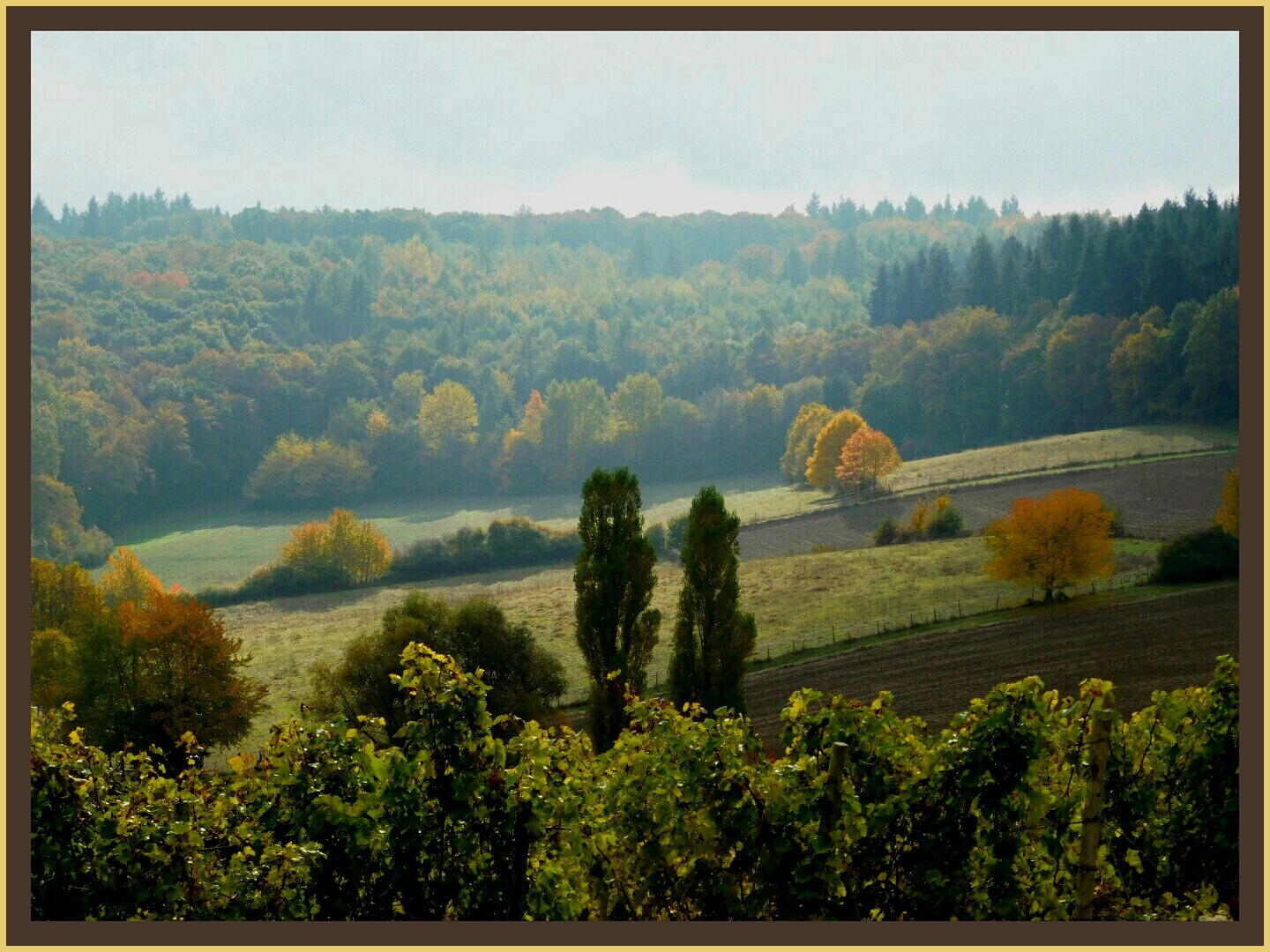 Herbstfarben