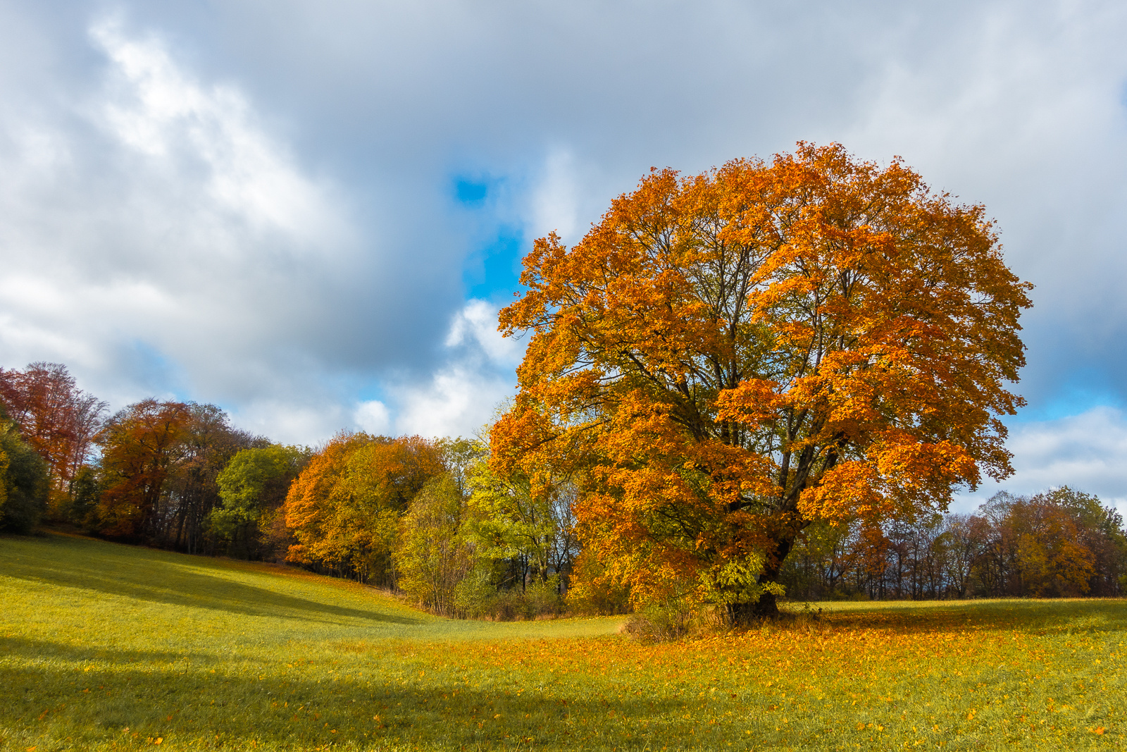 Herbstfarben