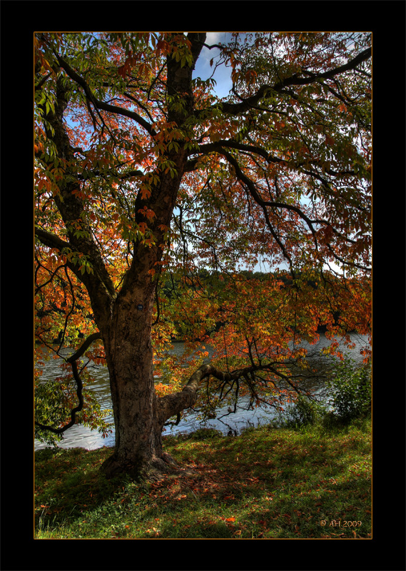 Herbstfarben