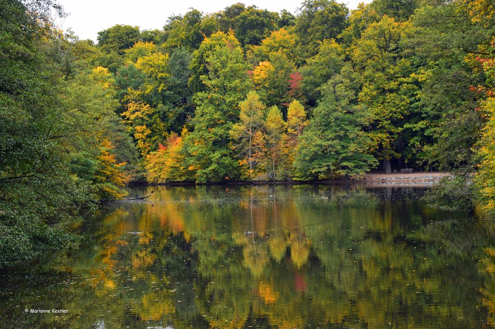 Herbstfarben