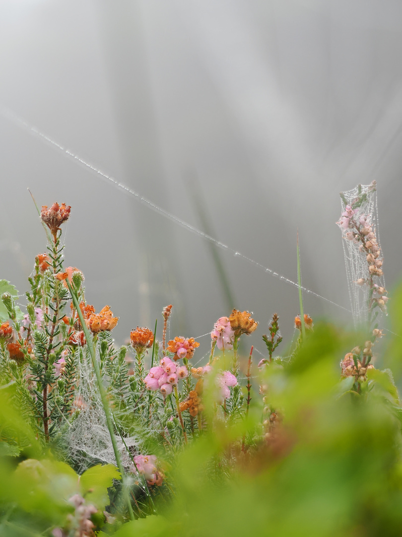 Herbstfarben