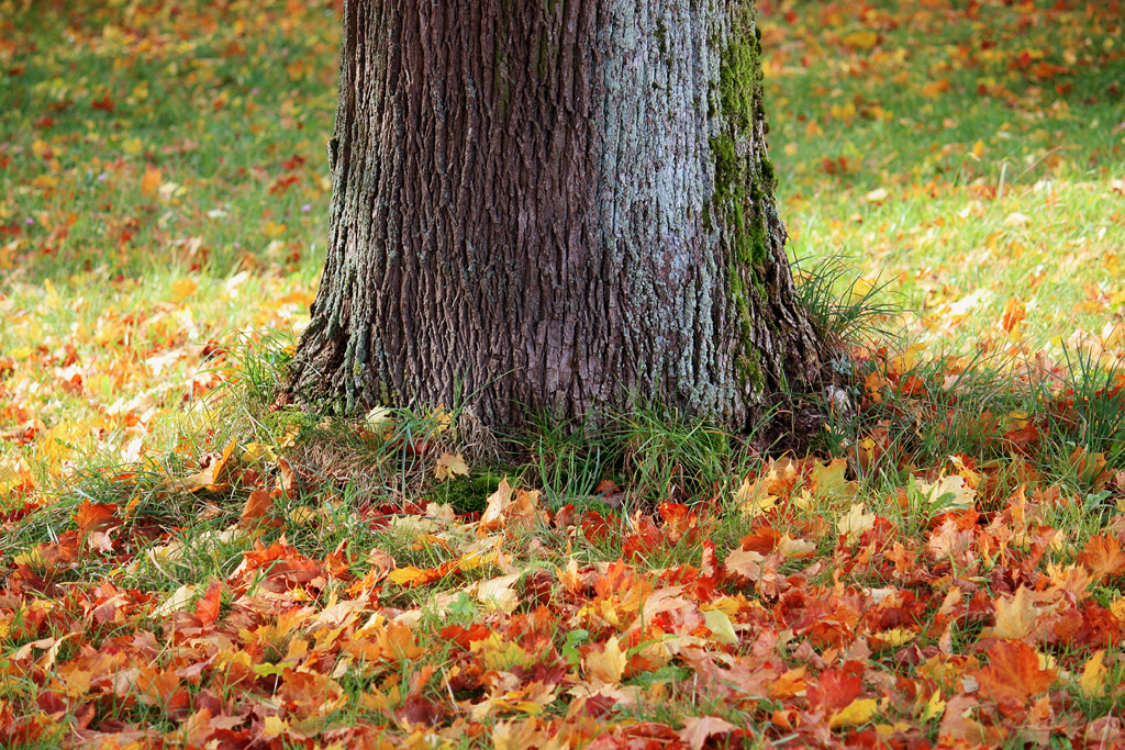 Herbstfarben