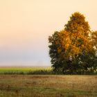 Herbstfarben