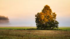 Herbstfarben