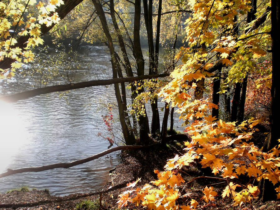 Herbstfarben