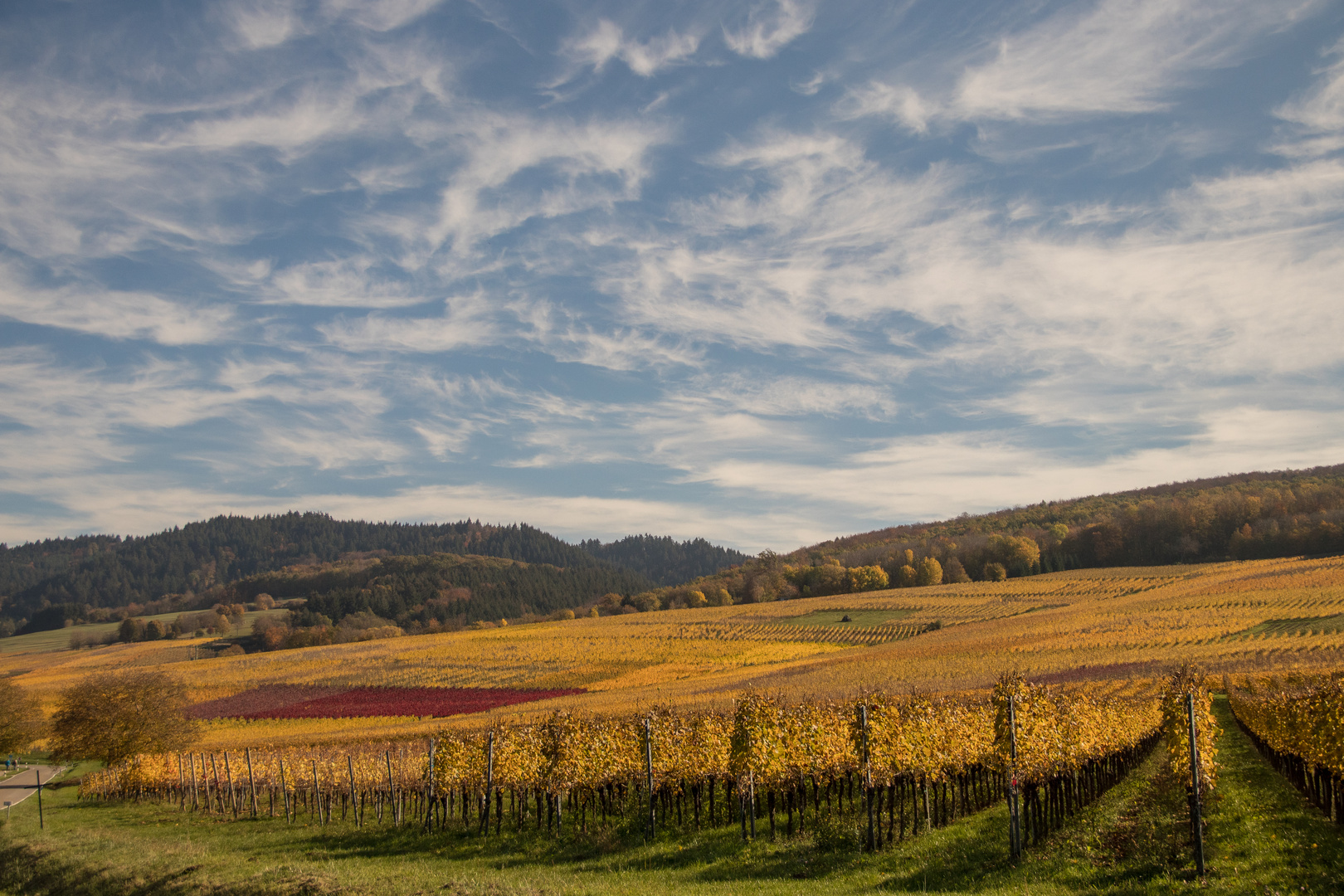 Herbstfarben