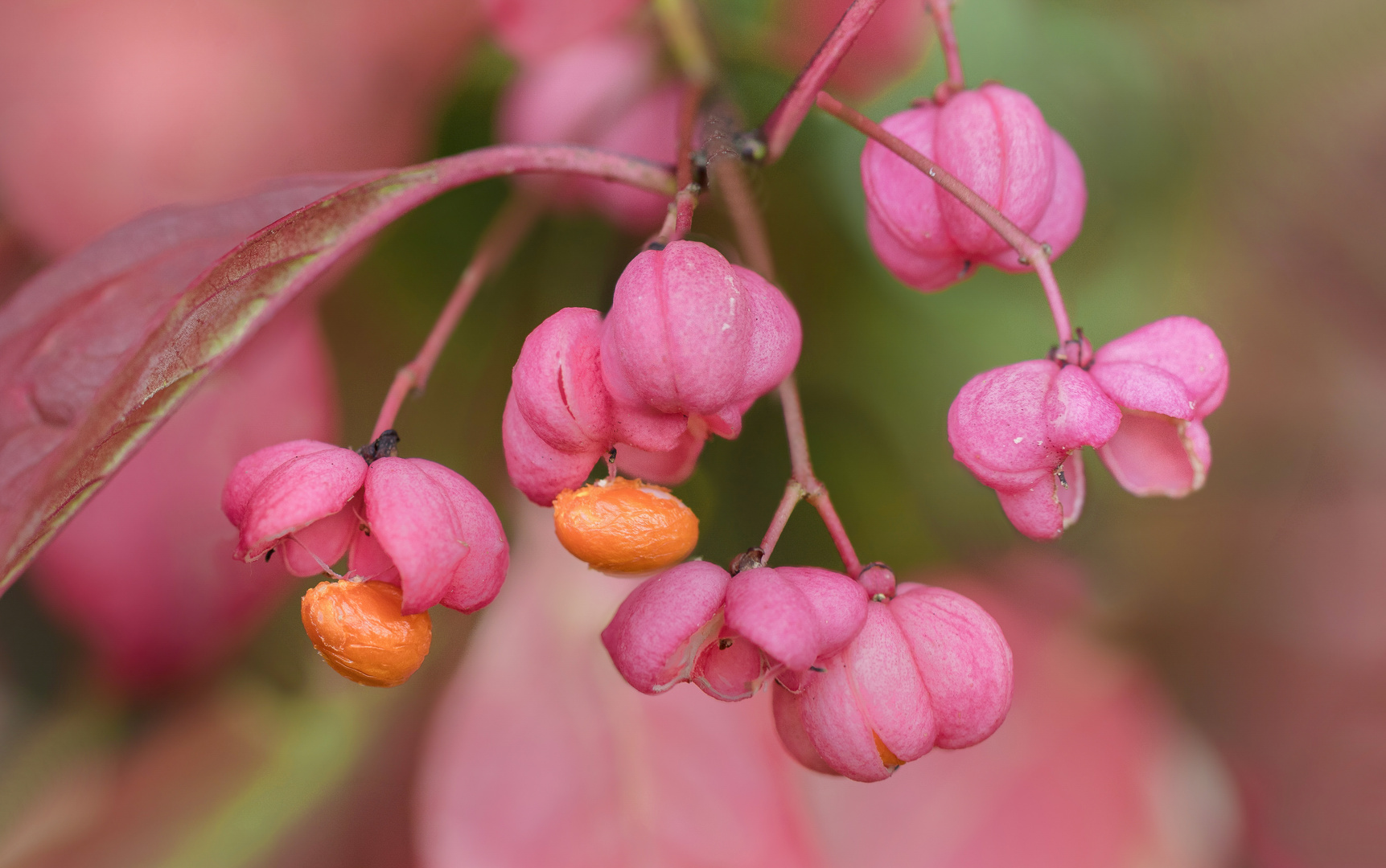 herbstfarben