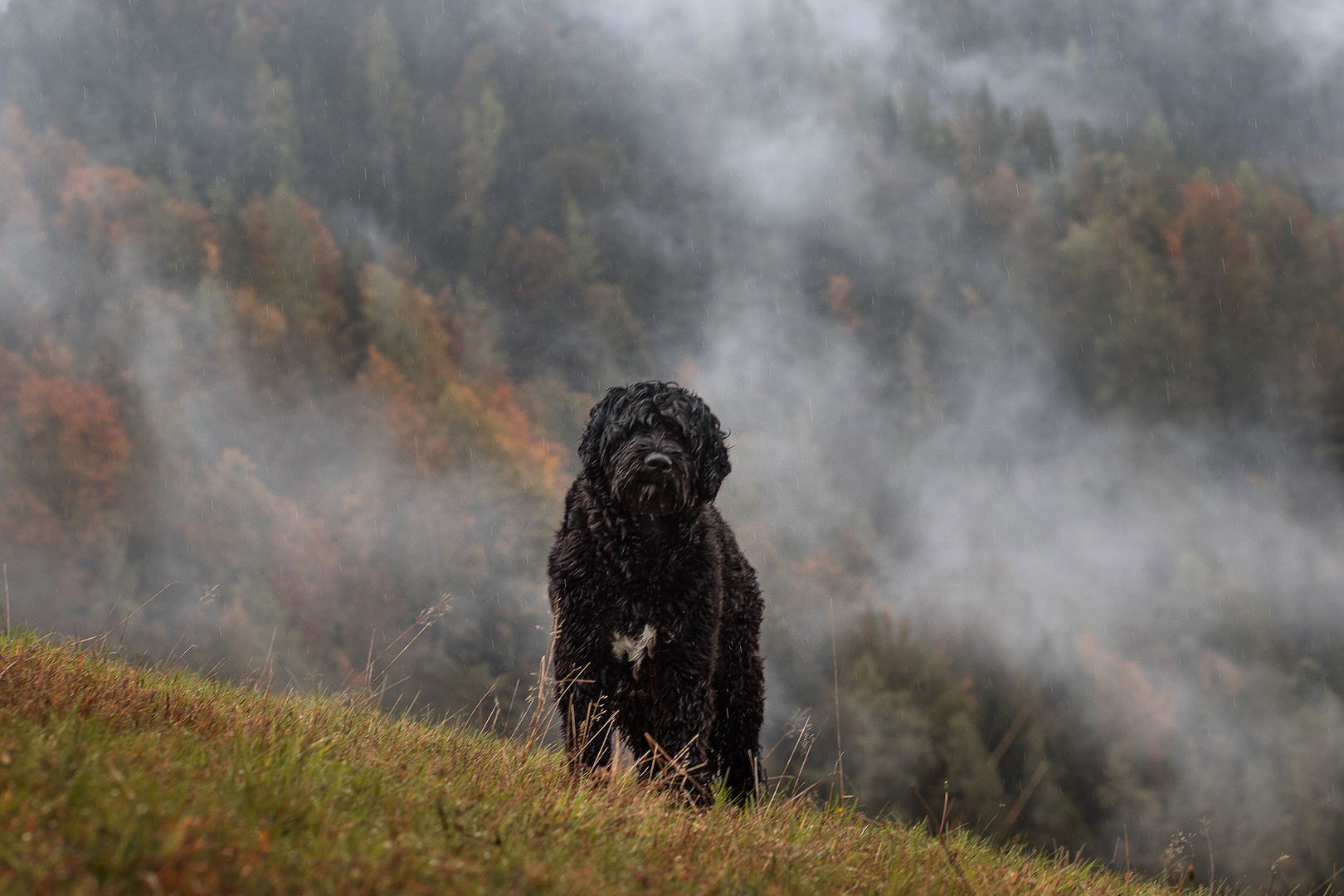 Herbstfarben