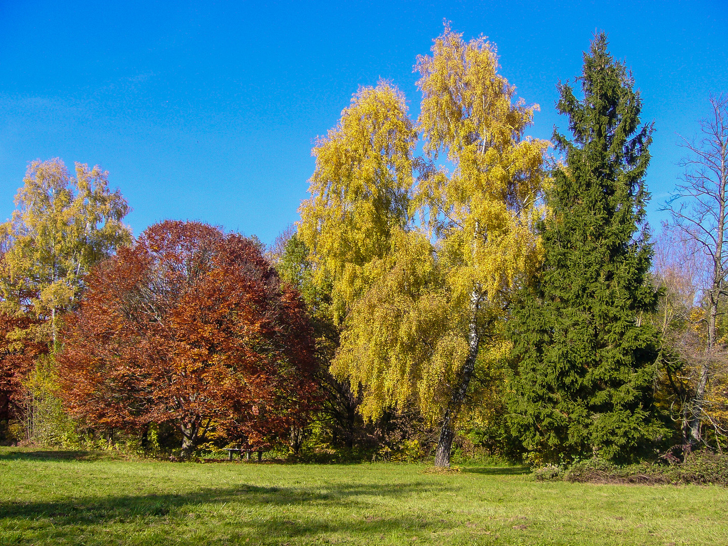 Herbstfarben