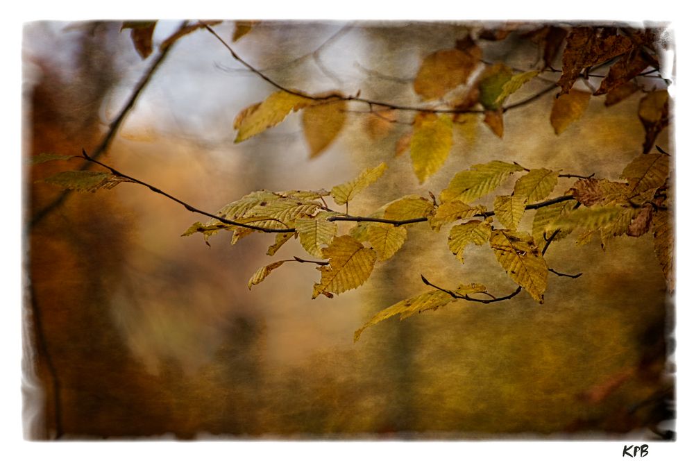 Herbstfarben