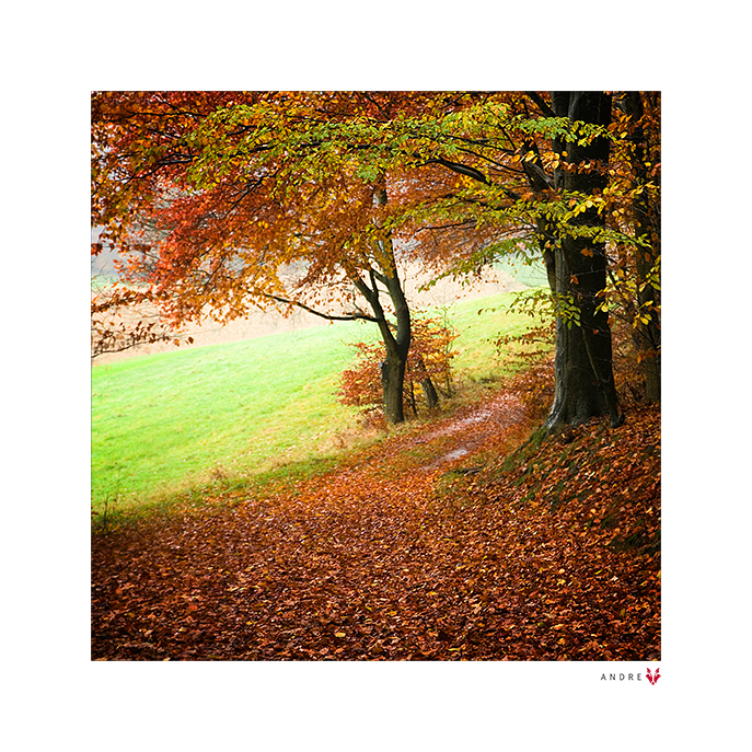 HERBSTFARBEN