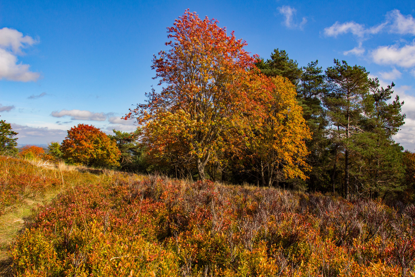 Herbstfarben