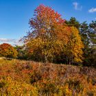 Herbstfarben