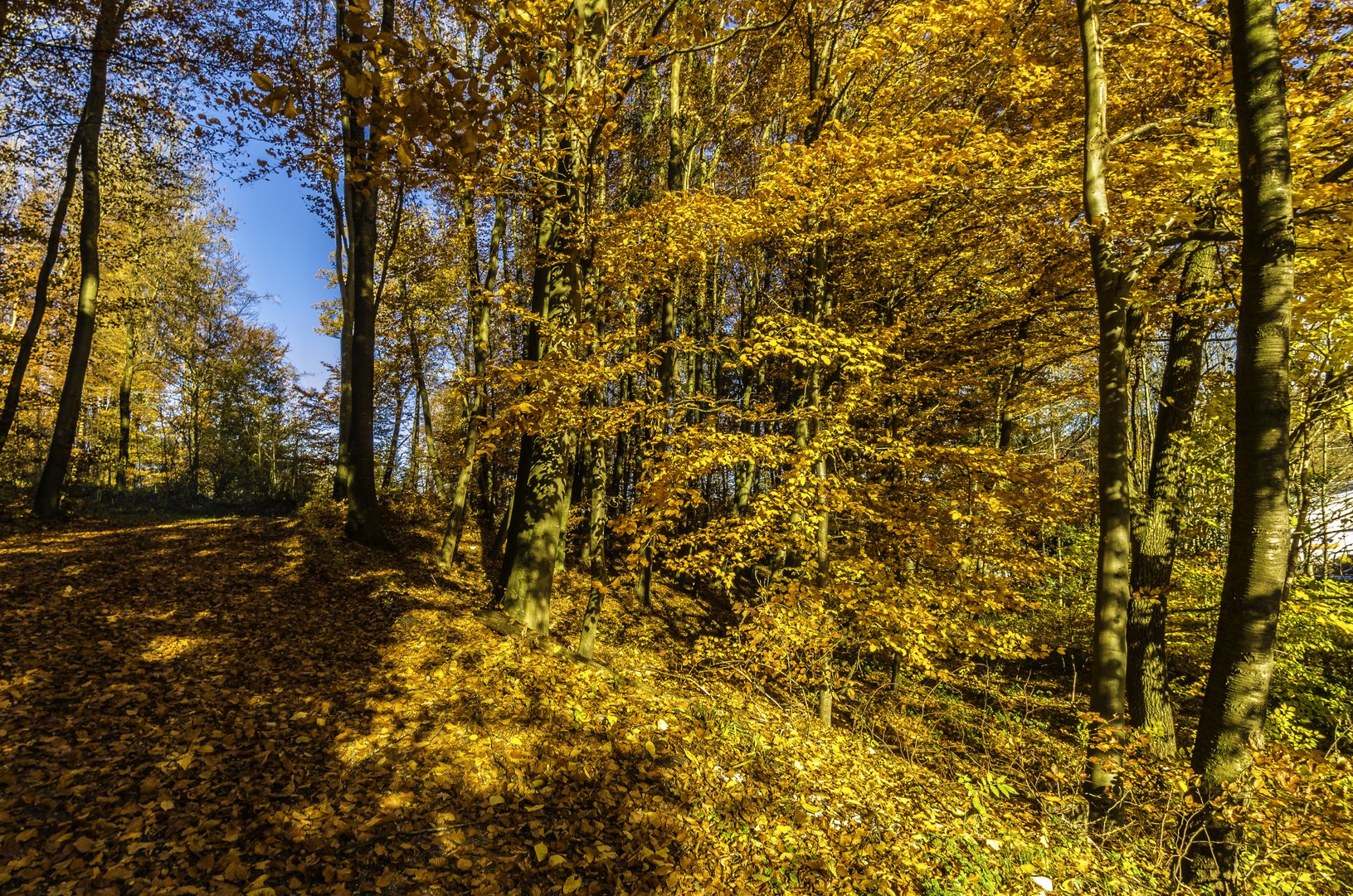 Herbstfarben