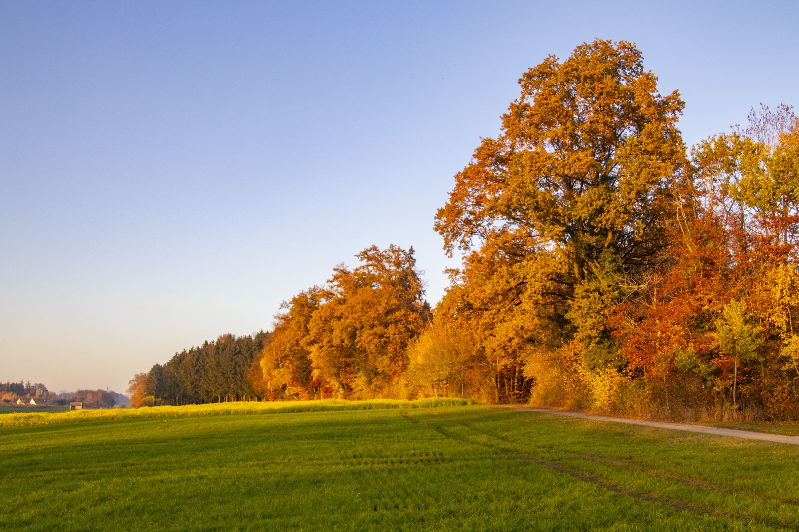 Herbstfarben