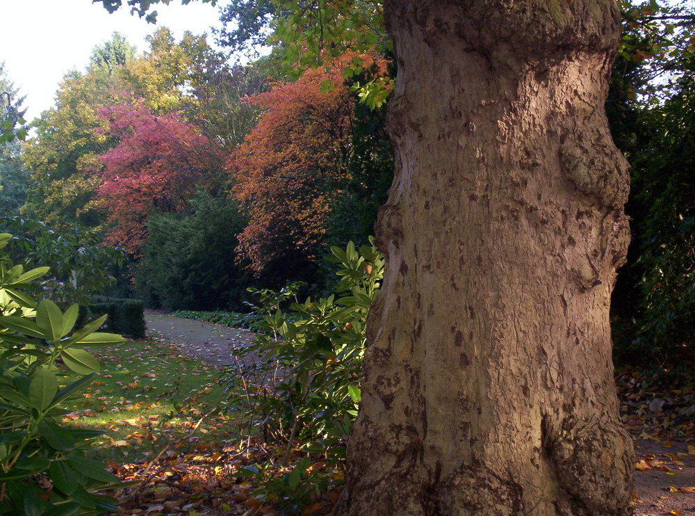 Herbstfarben