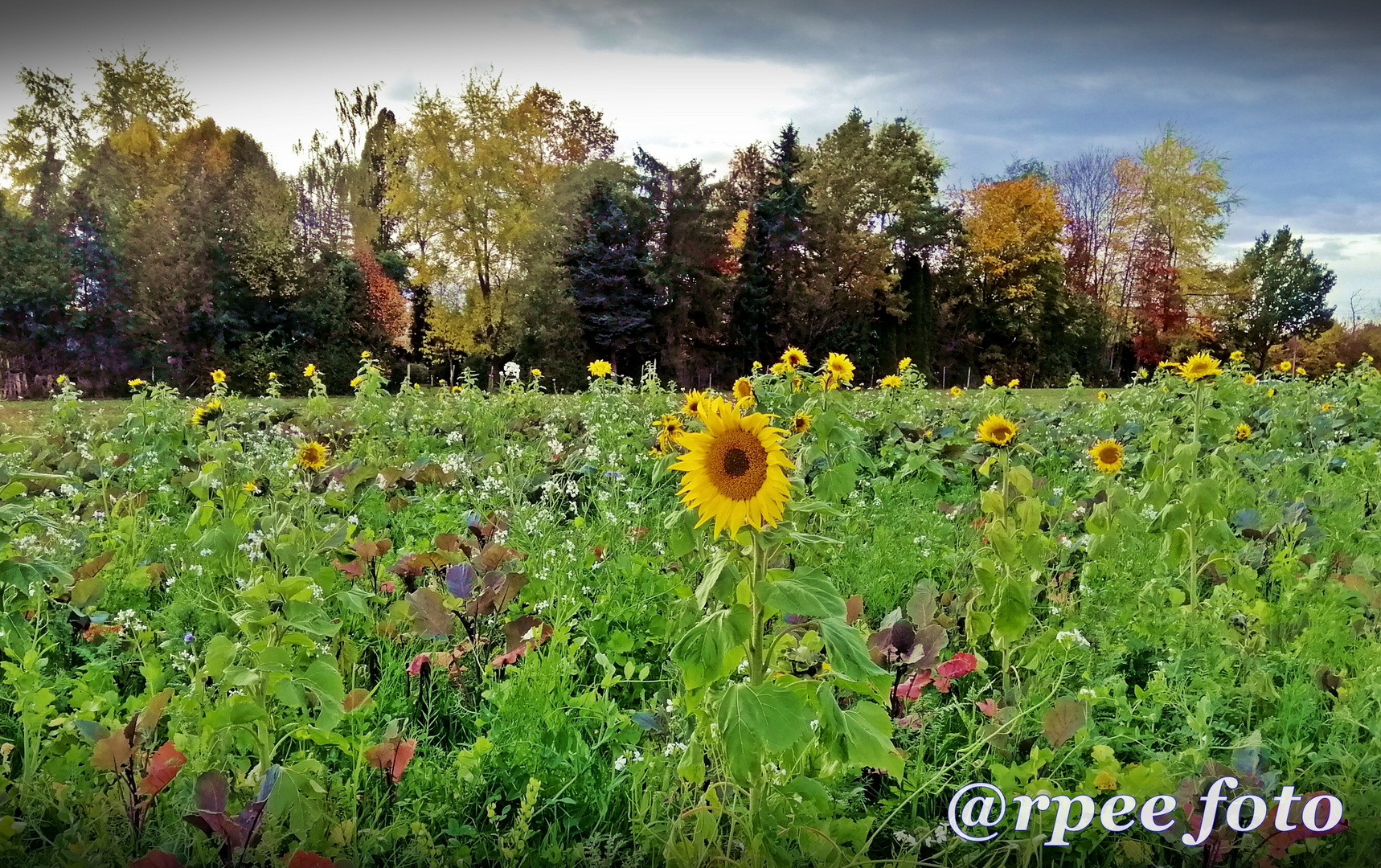 Herbstfarben