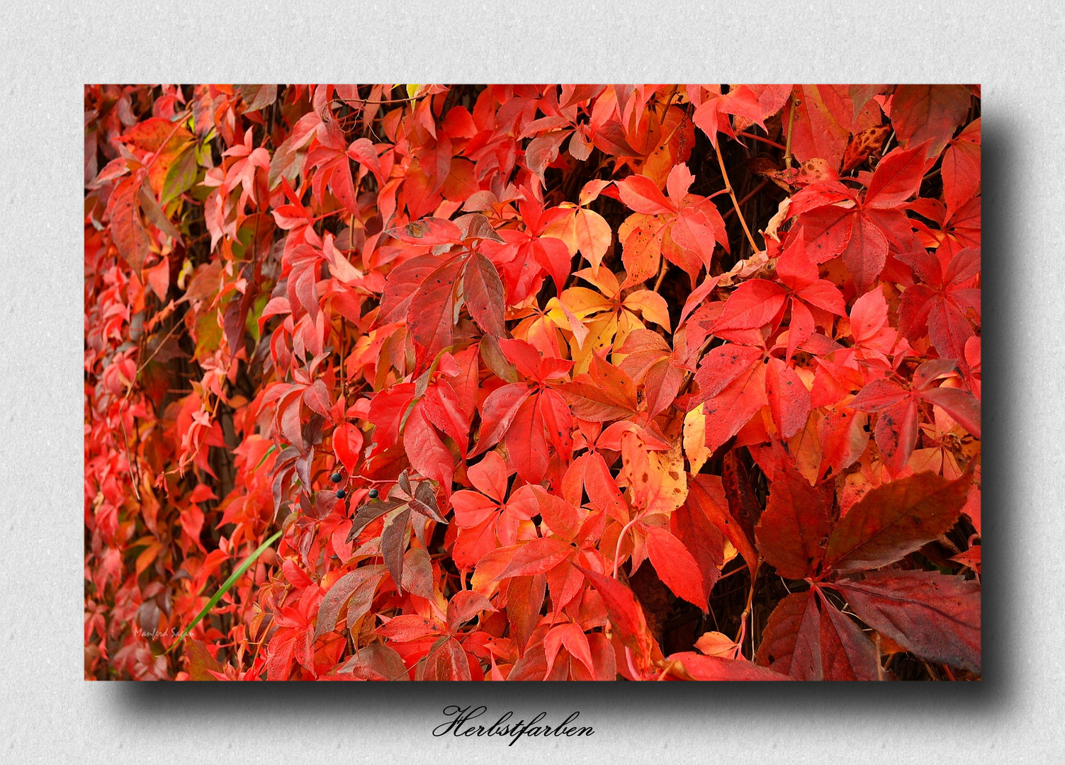 Herbstfarben...