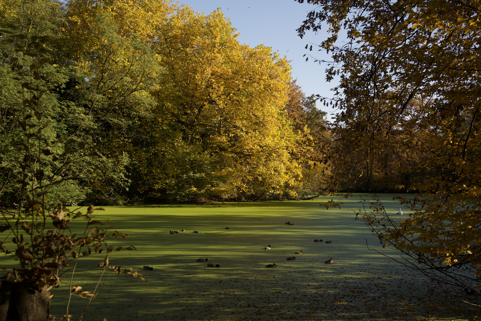 Herbstfarben