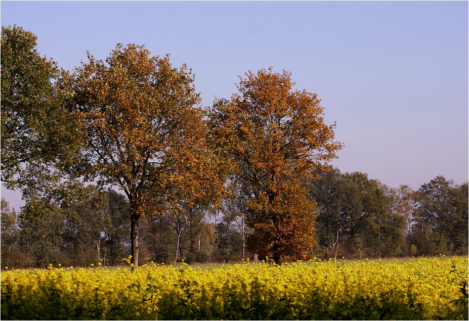 Herbstfarben