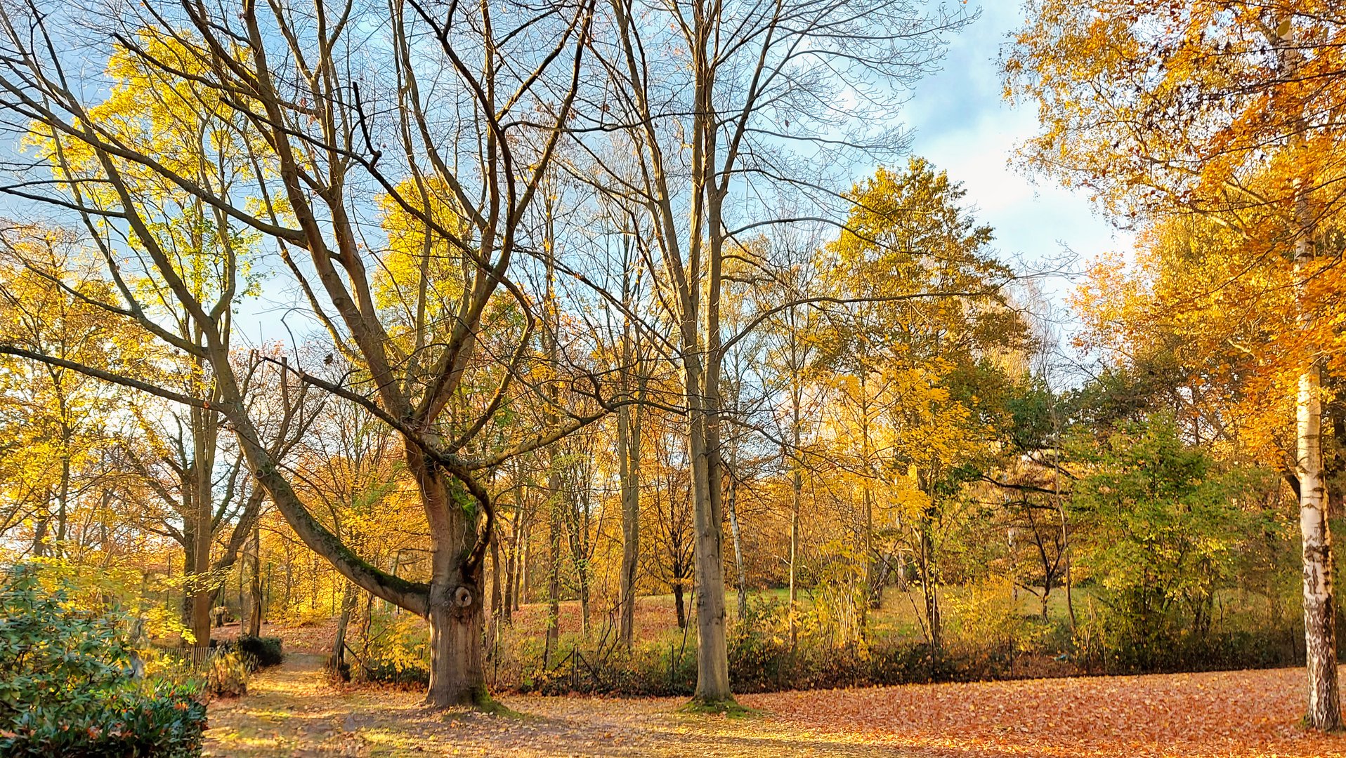 Herbstfarben