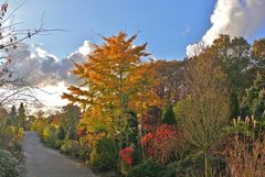 Herbstfarben