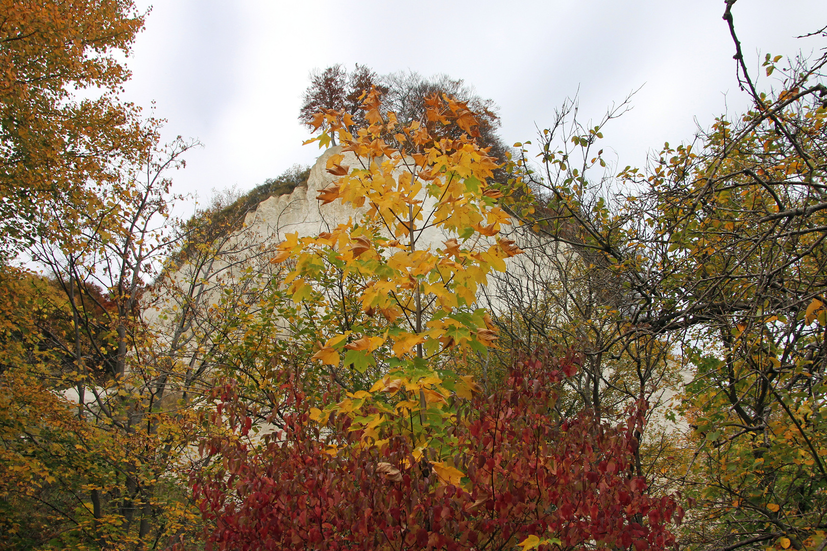 Herbstfarben