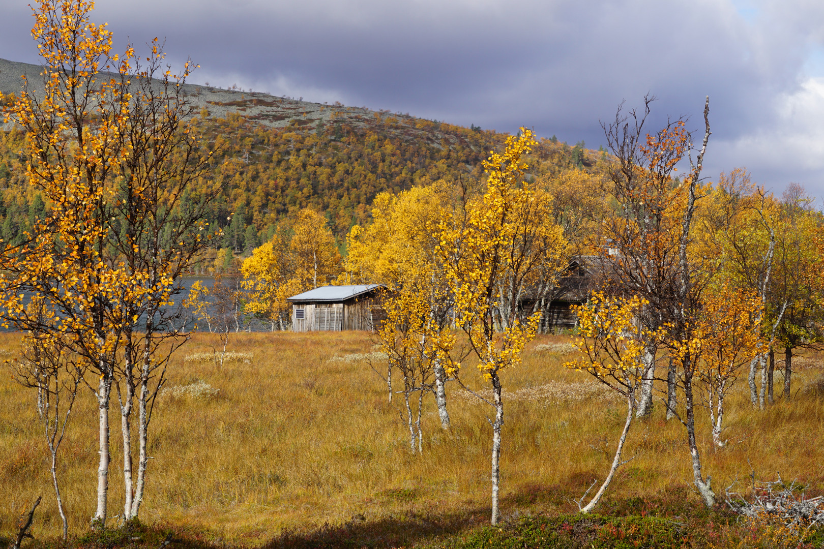 Herbstfarben