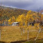 Herbstfarben