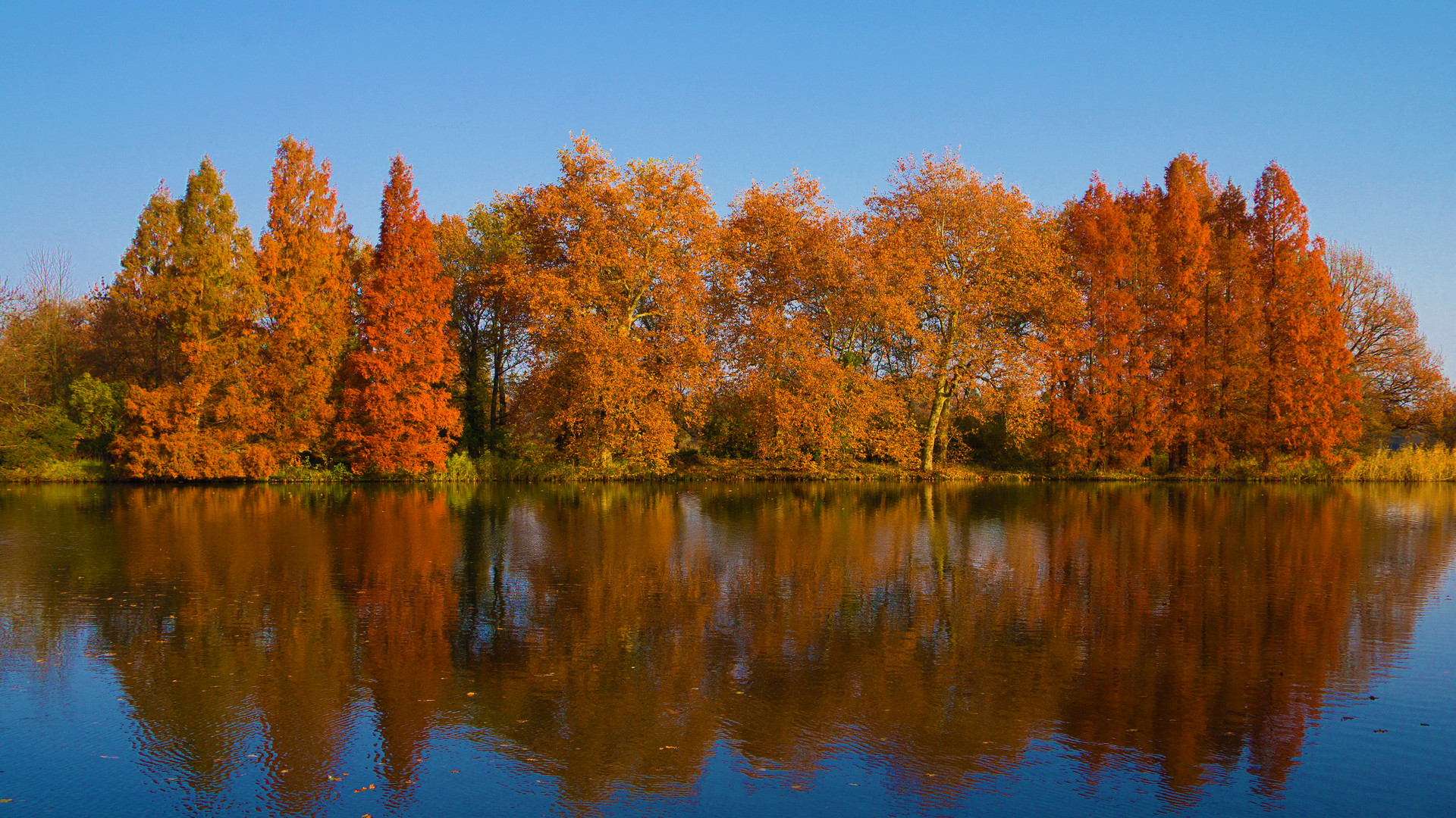 Herbstfarben