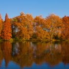 Herbstfarben