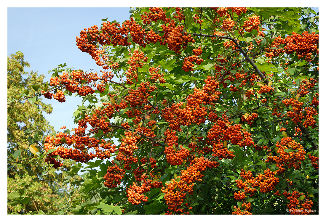 Herbstfarben