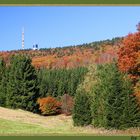 Herbstfarben ab Inselsberg