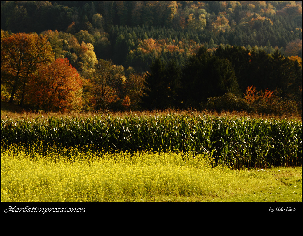 Herbstfarben