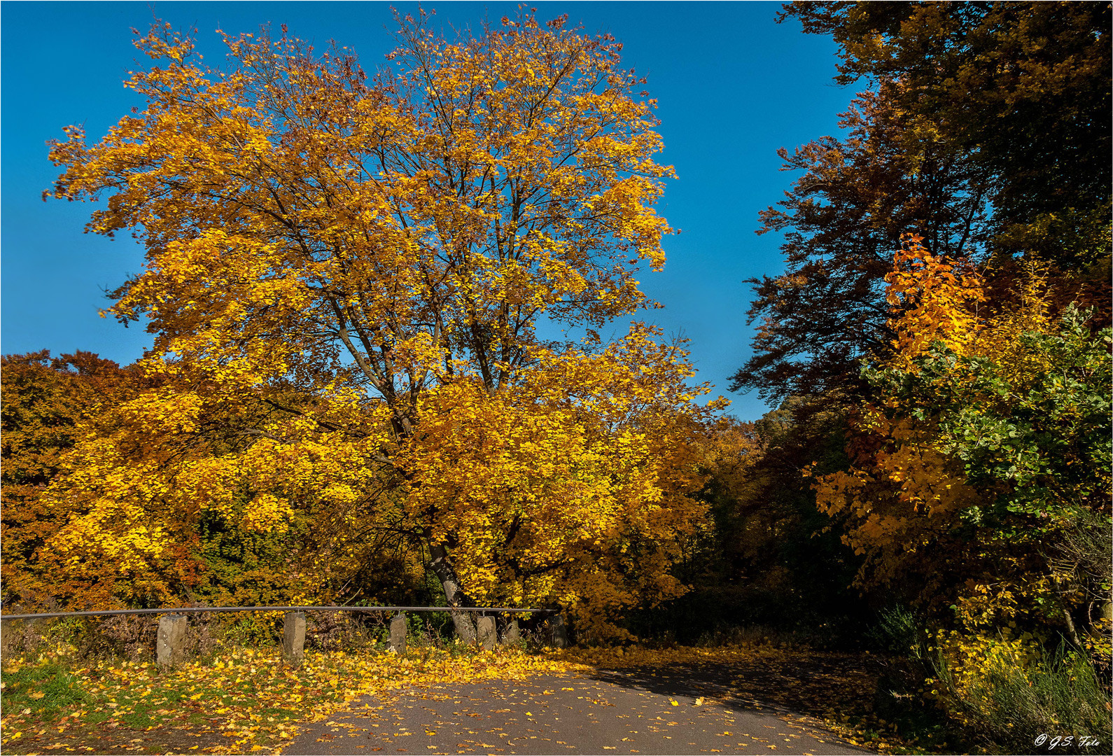 Herbstfarben