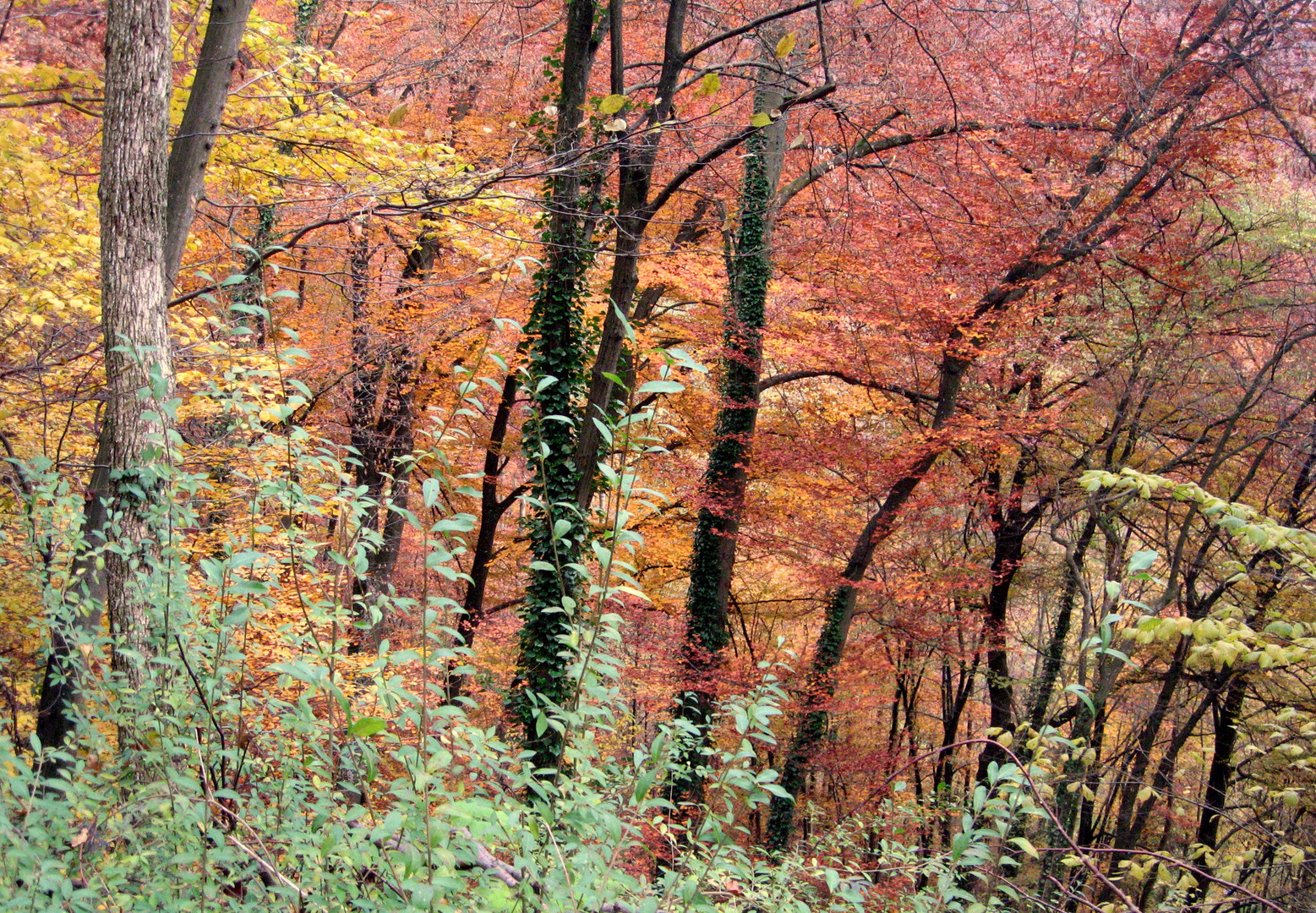 Herbstfarben