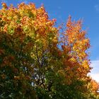 Herbstfarben